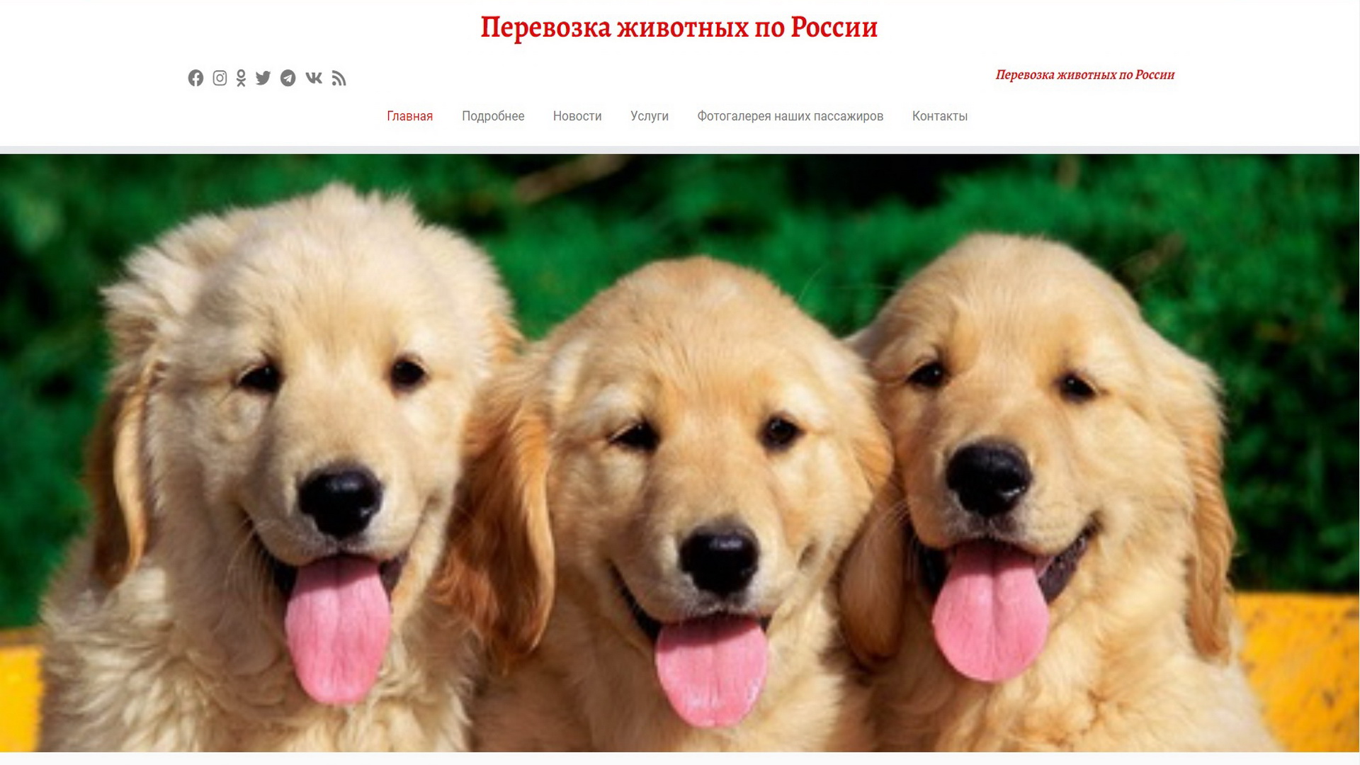 Многостраничный сайт